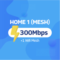 HOME 1 (Mesh)